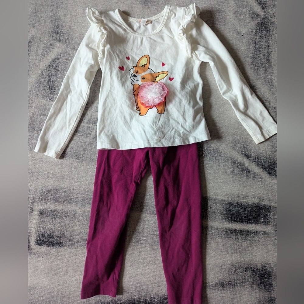 Cute Corgi Long Sleeve Top and Leggings Set